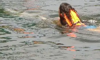 Dolpin Swim: our dolphins drag you through the water at high speed