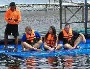 on float with dolphin trainer