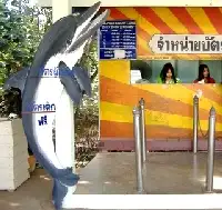 Free entry for kids under 1 meter