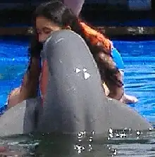 Hello Kiss from an irrawaddy dolphin