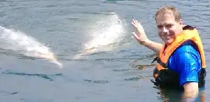 Swim with the dolphins